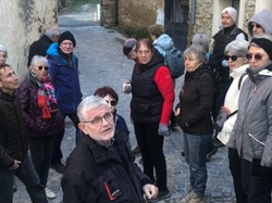  <a style='color: #fff;' href='/uploaded/photo/mollans-697dc159adfde.jpg'>(Télécharger)</a>