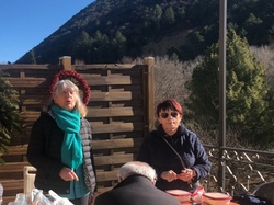  <a style='color: #fff;' href='/uploaded/photo/mollans-697dc159e9745.jpg'>(Télécharger)</a>