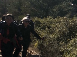  <a style='color: #fff;' href='/uploaded/photo/mollans-697dc15a2fb94.jpg'>(Télécharger)</a>