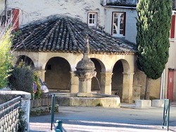  <a style='color: #fff;' href='/uploaded/photo/mollans-697dc16033d17.jpg'>(Télécharger)</a>