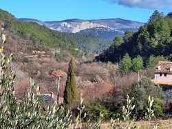  <a style='color: #fff;' href='/uploaded/photo/mollans-697dc160ead8c.jpg'>(Télécharger)</a>