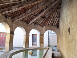  <a style='color: #fff;' href='/uploaded/photo/mollans-697dc1677620d.jpg'>(Télécharger)</a>