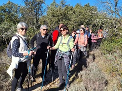  <a style='color: #fff;' href='/uploaded/photo/mollans-697dc167b80f9.jpg'>(Télécharger)</a>