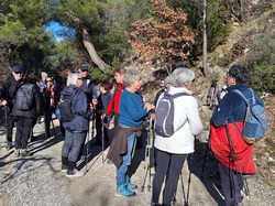  <a style='color: #fff;' href='/uploaded/photo/mollans-697dc167c8762.jpg'>(Télécharger)</a>