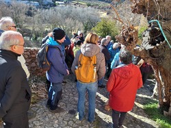  <a style='color: #fff;' href='/uploaded/photo/mollans-697dc167f2df4.jpg'>(Télécharger)</a>