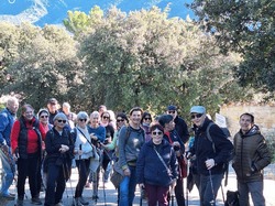  <a style='color: #fff;' href='/uploaded/photo/mollans-697dc168256ef.jpg'>(Télécharger)</a>