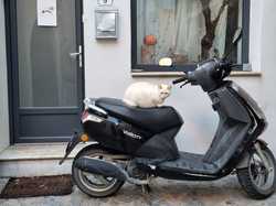  <a style='color: #fff;' href='/uploaded/photo/mollans-la-rouvirette-et-pierrelongue-692337021e570.jpg'>(Télécharger)</a>