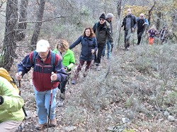  <a style='color: #fff;' href='/uploaded/photo/mollans-la-rouvirette-et-pierrelongue-692492b9764a9.jpg'>(Télécharger)</a>