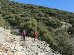  <a style='color: #fff;' href='/uploaded/photo/mollans-mont-de-bluye-63efc296f1026.jpg'>(Télécharger)</a>