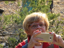  <a style='color: #fff;' href='/uploaded/photo/mollans-mont-de-bluye-63efc2982d31f.jpg'>(Télécharger)</a>