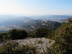  <a style='color: #fff;' href='/uploaded/photo/mollans-mont-de-bluye-63efc2b644497.jpg'>(Télécharger)</a>