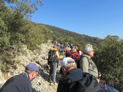  <a style='color: #fff;' href='/uploaded/photo/mollans-mont-de-bluye-63efc2bc70e6f.jpg'>(Télécharger)</a>