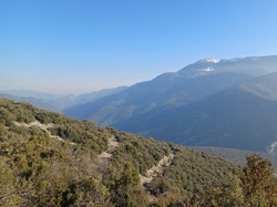  <a style='color: #fff;' href='/uploaded/photo/mollans-mont-de-bluye-63f082c4523ea.jpg'>(Télécharger)</a>