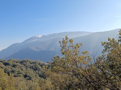  <a style='color: #fff;' href='/uploaded/photo/mollans-mont-de-bluye-63f082c45d00a.jpg'>(Télécharger)</a>