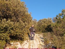  <a style='color: #fff;' href='/uploaded/photo/mollans-mont-de-bluye-63f082c546bee.jpg'>(Télécharger)</a>