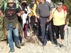  <a style='color: #fff;' href='/uploaded/photo/mollans-mont-de-bluye-63f082ce0a7b6.jpg'>(Télécharger)</a>