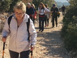  <a style='color: #fff;' href='/uploaded/photo/mollans-mont-de-bluye-63f082cf2ae13.jpg'>(Télécharger)</a>