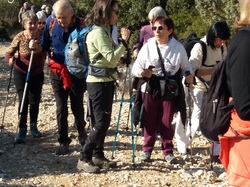  <a style='color: #fff;' href='/uploaded/photo/mollans-mont-de-bluye-63f082d048faf.jpg'>(Télécharger)</a>