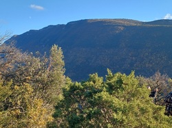  <a style='color: #fff;' href='/uploaded/photo/mollans-sur-ouveze-6389df657ac67.jpg'>(Télécharger)</a>