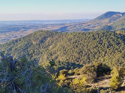  <a style='color: #fff;' href='/uploaded/photo/mollans-sur-ouveze-6389df68a70b2.jpg'>(Télécharger)</a>