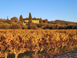  <a style='color: #fff;' href='/uploaded/photo/mollans-sur-ouveze-6389df698c7b1.jpg'>(Télécharger)</a>