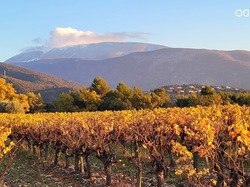  <a style='color: #fff;' href='/uploaded/photo/mollans-sur-ouveze-6389df6a12ec6.jpg'>(Télécharger)</a>