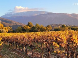  <a style='color: #fff;' href='/uploaded/photo/mollans-sur-ouveze-6389df6a5e5d5.jpg'>(Télécharger)</a>