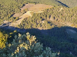  <a style='color: #fff;' href='/uploaded/photo/mollans-sur-ouveze-6389df6ca3caa.jpg'>(Télécharger)</a>