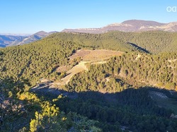  <a style='color: #fff;' href='/uploaded/photo/mollans-sur-ouveze-6389df6d8d427.jpg'>(Télécharger)</a>