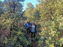  <a style='color: #fff;' href='/uploaded/photo/mollans-sur-ouveze-6389df70e62d6.jpg'>(Télécharger)</a>