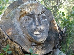  <a style='color: #fff;' href='/uploaded/photo/monastere-de-prebayon-5e50f85bb3f4c.jpg'>(Télécharger)</a>