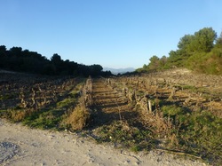  <a style='color: #fff;' href='/uploaded/photo/monastere-de-prebayon-5e50f8600553d.jpg'>(Télécharger)</a>