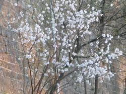  <a style='color: #fff;' href='/uploaded/photo/monastere-de-prebayon-5e50f8603f130.jpg'>(Télécharger)</a>