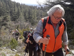  <a style='color: #fff;' href='/uploaded/photo/mont-ventoux-versant-sud-643983be4ba2c.jpg'>(Télécharger)</a>