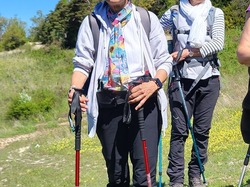  <a style='color: #fff;' href='/uploaded/photo/montagne-de-la-lance-663d0478cbae2.jpg'>(Télécharger)</a>