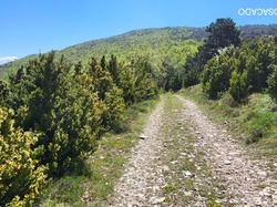  <a style='color: #fff;' href='/uploaded/photo/montagne-de-la-lance-663d047d74dbf.jpg'>(Télécharger)</a>