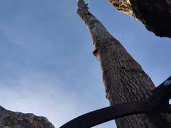  <a style='color: #fff;' href='/uploaded/photo/montsegur-sur-lauzon-660ef81b1fa63.jpg'>(Télécharger)</a>