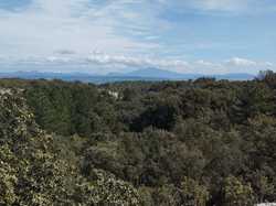  <a style='color: #fff;' href='/uploaded/photo/montsegur-sur-lauzon-660ef81c06cd4.jpg'>(Télécharger)</a>