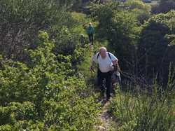  <a style='color: #fff;' href='/uploaded/photo/montsegur-sur-lauzon-660ef81c77d18.jpg'>(Télécharger)</a>