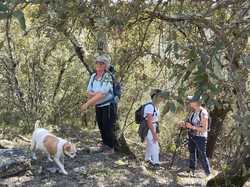  <a style='color: #fff;' href='/uploaded/photo/montsegur-sur-lauzon-660ef81c89a0c.jpg'>(Télécharger)</a>