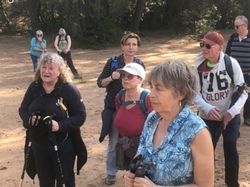  <a style='color: #fff;' href='/uploaded/photo/ocres-de-bedoin-65e0ed8f941f6.jpg'>(Télécharger)</a>