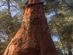  <a style='color: #fff;' href='/uploaded/photo/ocres-de-bedoin-65e0ed8fee24a.jpg'>(Télécharger)</a>