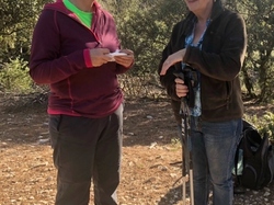  <a style='color: #fff;' href='/uploaded/photo/ocres-de-bedoin-65e0ed90a92d5.jpg'>(Télécharger)</a>