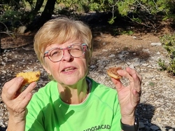  <a style='color: #fff;' href='/uploaded/photo/ocres-de-bedoin-65e0eda31a7c1.jpg'>(Télécharger)</a>