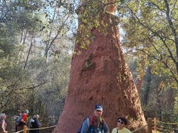  <a style='color: #fff;' href='/uploaded/photo/ocres-de-bedoin-65e0edb4b2756.jpg'>(Télécharger)</a>