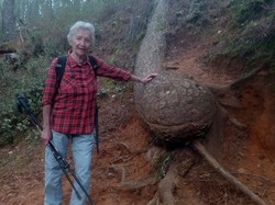  <a style='color: #fff;' href='/uploaded/photo/ocres-de-mormoiron-671b48516969a.jpg'>(Télécharger)</a>