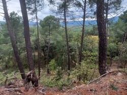  <a style='color: #fff;' href='/uploaded/photo/ocres-de-mormoiron-671b48519fae8.jpg'>(Télécharger)</a>