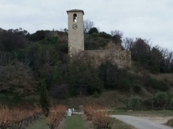  <a style='color: #fff;' href='/uploaded/photo/piegon-5e3318c90b415.jpg'>(Télécharger)</a>