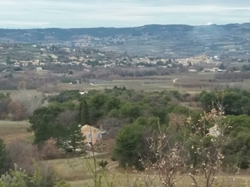  <a style='color: #fff;' href='/uploaded/photo/piegon-5e3318cb89b29.jpg'>(Télécharger)</a>