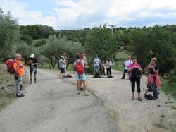  <a style='color: #fff;' href='/uploaded/photo/piegon-5f81efe77f666.jpg'>(Télécharger)</a>